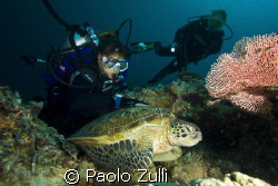 "divers sipadan"450d+10-22 canon by Paolo Zulli 